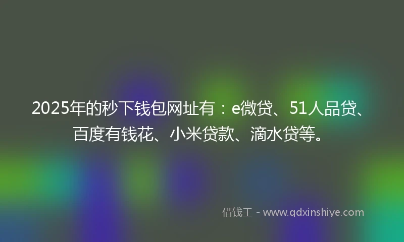 2025年的秒下钱包网址有：e微贷、51人品贷、百度有钱花、小米贷款、滴水贷等。