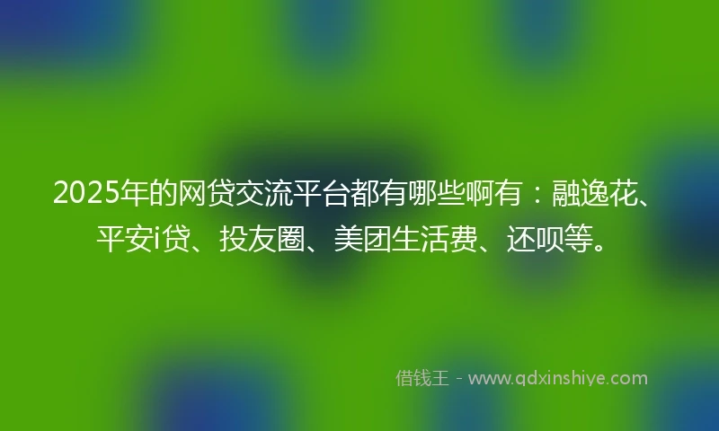 2025年的网贷交流平台都有哪些啊有：融逸花、平安i贷、投友圈、美团生活费、还呗等。