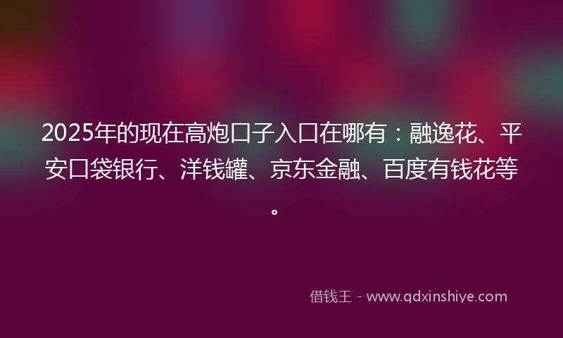 2025年的现在高炮口子入口在哪有：融逸花、平安口袋银行、洋钱罐、京东金融、百度有钱花等。