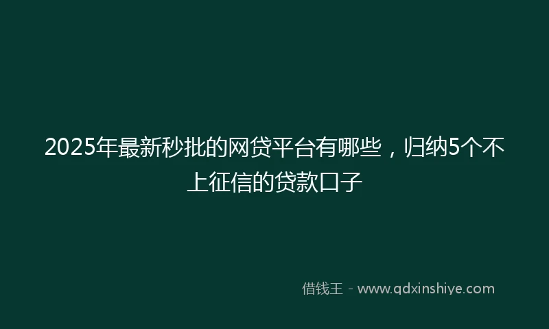 2025年最新秒批的网贷平台有哪些，归纳5个不上征信的贷款口子