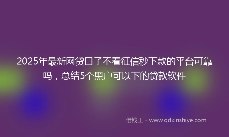 2025年最新网贷口子不看征信秒下款的平台可靠吗，总结5个黑户可以下的贷款软件