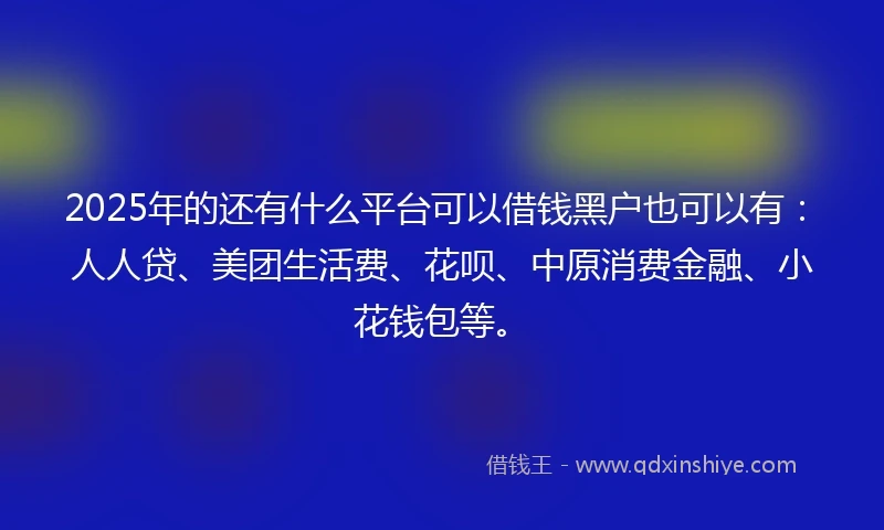 2025年的还有什么平台可以借钱黑户也可以有：人人贷、美团生活费、花呗、中原消费金融、小花钱包等。