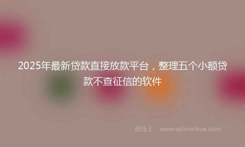 2025年最新贷款直接放款平台，整理五个小额贷款不查征信的软件
