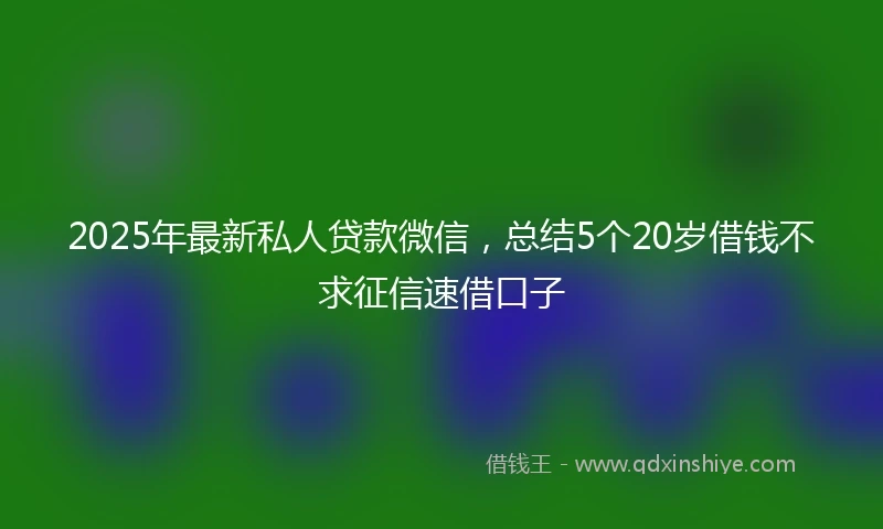 2025年最新私人贷款微信，总结5个20岁借钱不求征信速借口子