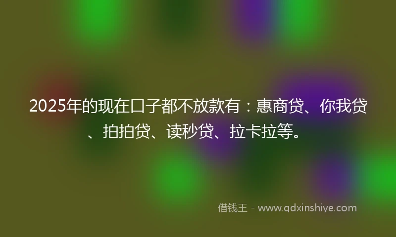 2025年的现在口子都不放款有：惠商贷、你我贷、拍拍贷、读秒贷、拉卡拉等。