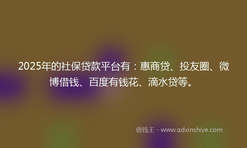 2025年的社保贷款平台有：惠商贷、投友圈、微博借钱、百度有钱花、滴水贷等。