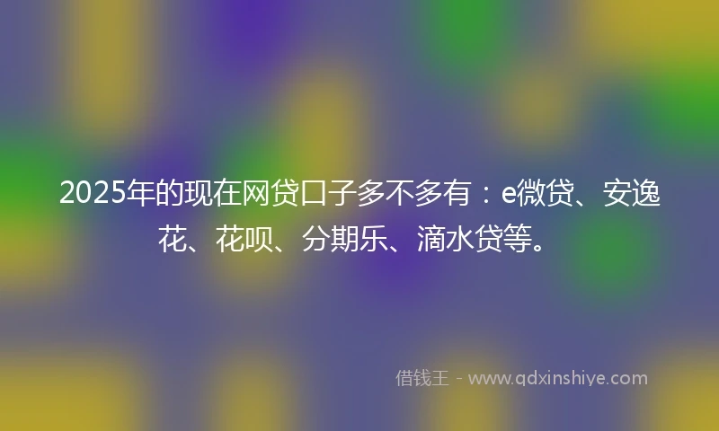 2025年的现在网贷口子多不多有：e微贷、安逸花、花呗、分期乐、滴水贷等。
