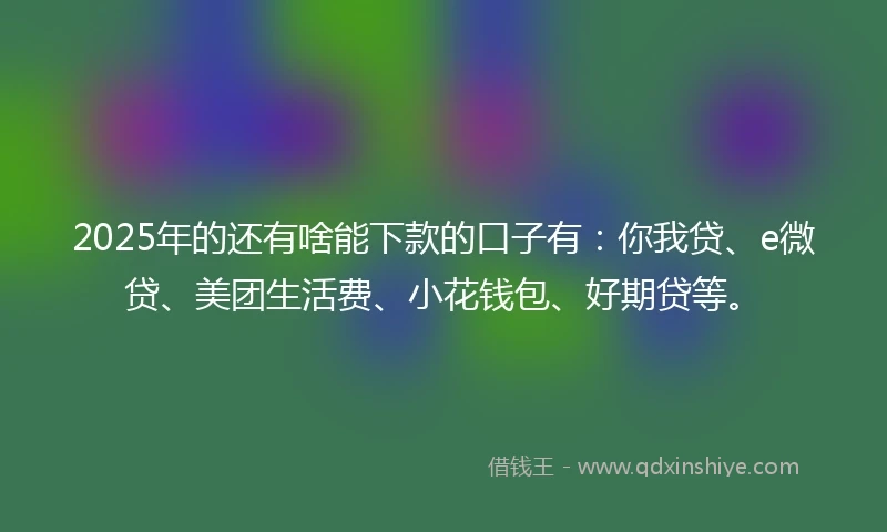2025年的还有啥能下款的口子有：你我贷、e微贷、美团生活费、小花钱包、好期贷等。