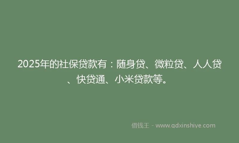 2025年的社保贷款有：随身贷、微粒贷、人人贷、快贷通、小米贷款等。