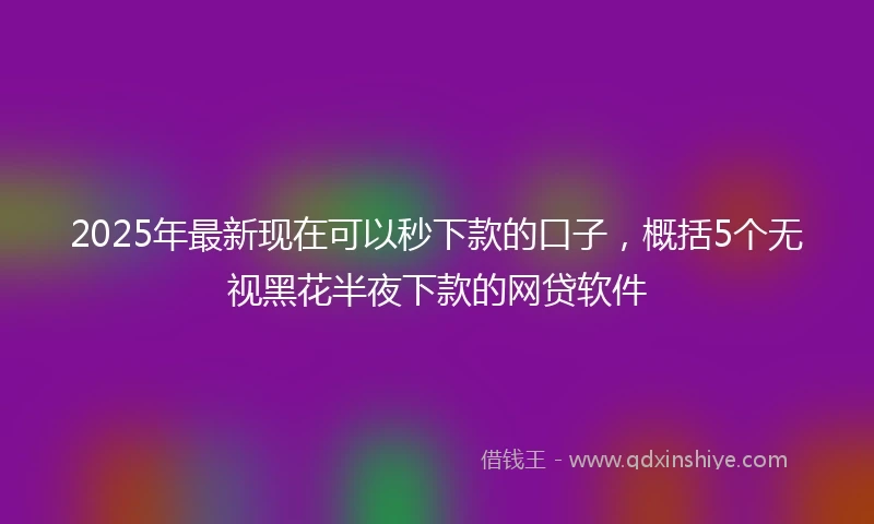 2025年最新现在可以秒下款的口子，概括5个无视黑花半夜下款的网贷软件