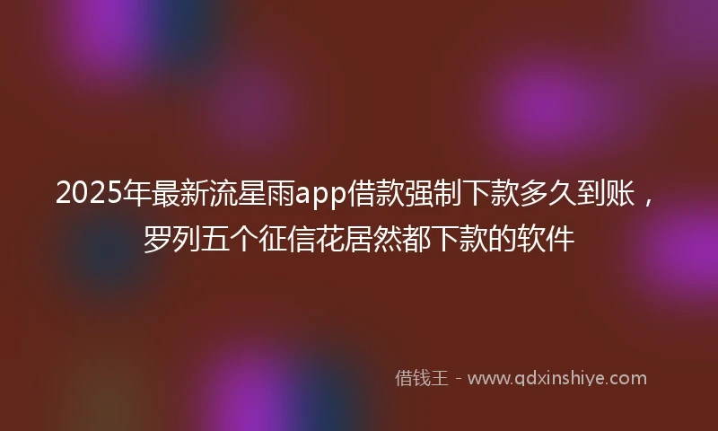 2025年最新流星雨app借款强制下款多久到账，罗列五个征信花居然都下款的软件