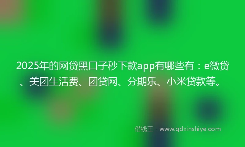 2025年的网贷黑口子秒下款app有哪些有：e微贷、美团生活费、团贷网、分期乐、小米贷款等。