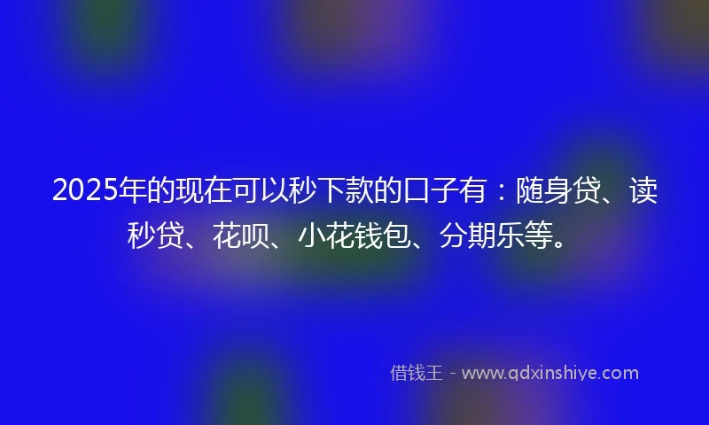 2025年的现在可以秒下款的口子有：随身贷、读秒贷、花呗、小花钱包、分期乐等。