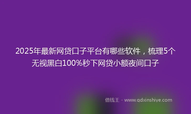 2025年最新网贷口子平台有哪些软件,梳理5个无视黑白100%秒下网贷小额夜间口子