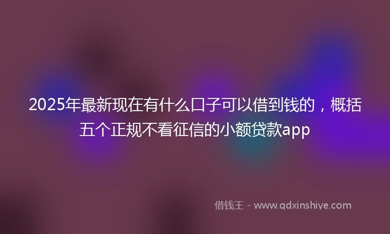 2025年最新现在有什么口子可以借到钱的，概括五个正规不看征信的小额贷款app