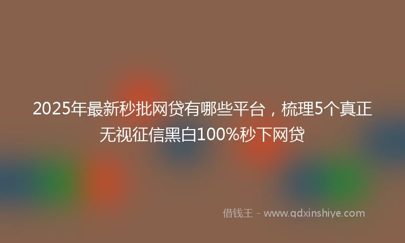 2025年最新秒批网贷有哪些平台，梳理5个真正无视征信黑白100%秒下网贷