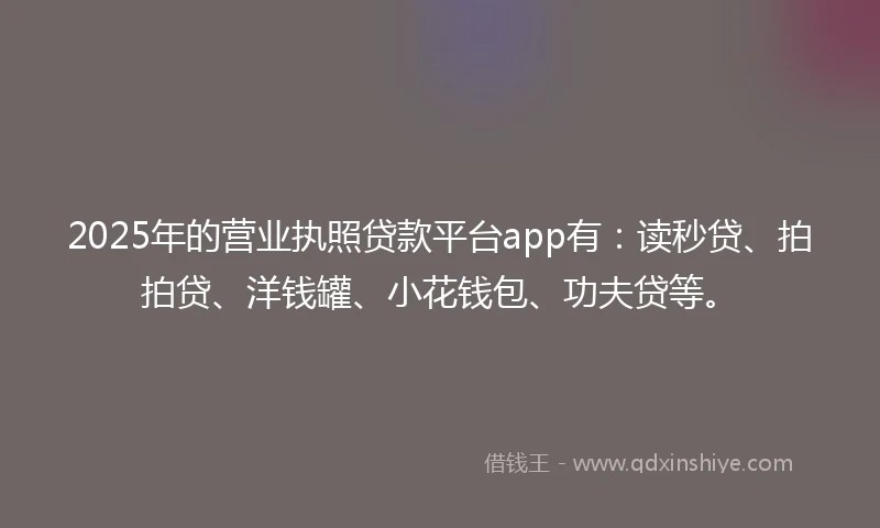 2025年的营业执照贷款平台app有：读秒贷、拍拍贷、洋钱罐、小花钱包、功夫贷等。