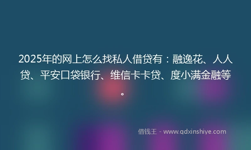 2025年的网上怎么找私人借贷有：融逸花、人人贷、平安口袋银行、维信卡卡贷、度小满金融等。