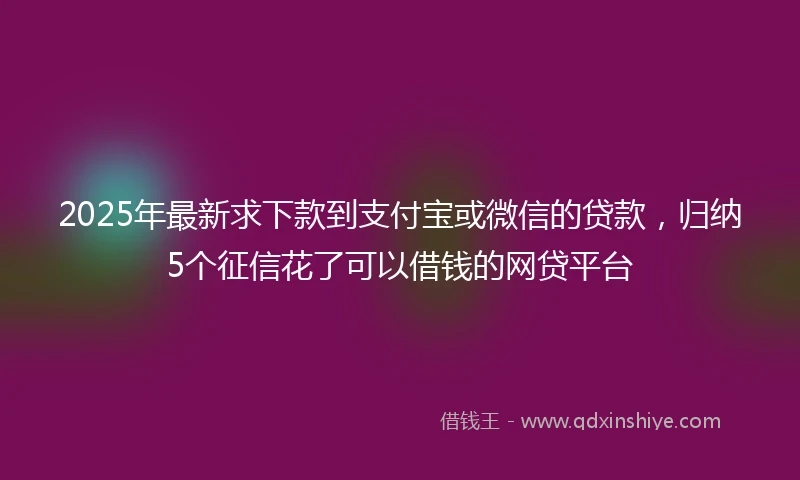2025年最新求下款到支付宝或微信的贷款，归纳5个征信花了可以借钱的网贷平台