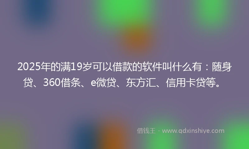 2025年的满19岁可以借款的软件叫什么有：随身贷、360借条、e微贷、东方汇、信用卡贷等。