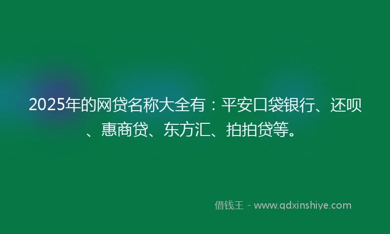 2025年的网贷名称大全有：平安口袋银行、还呗、惠商贷、东方汇、拍拍贷等。