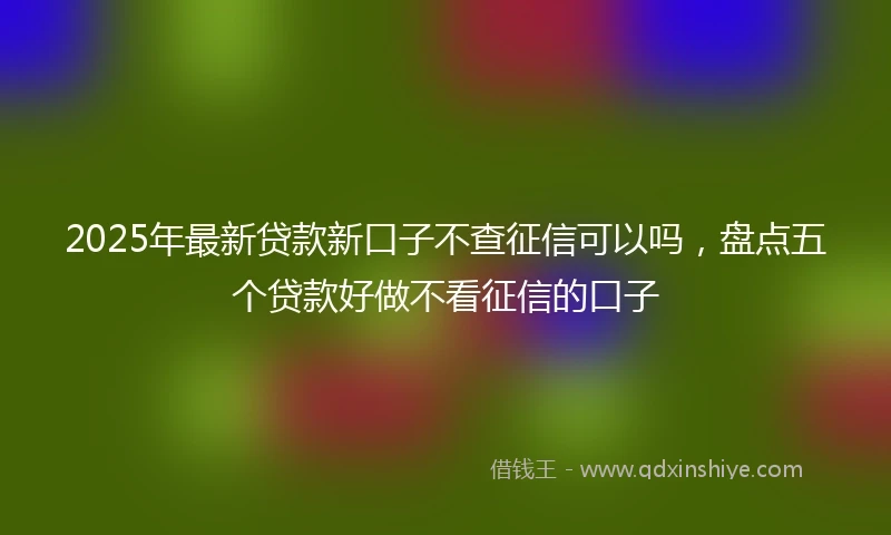 2025年最新贷款新口子不查征信可以吗，盘点五个贷款好做不看征信的口子