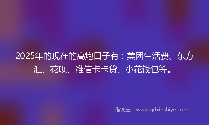 2025年的现在的高炮口子有：美团生活费、东方汇、花呗、维信卡卡贷、小花钱包等。