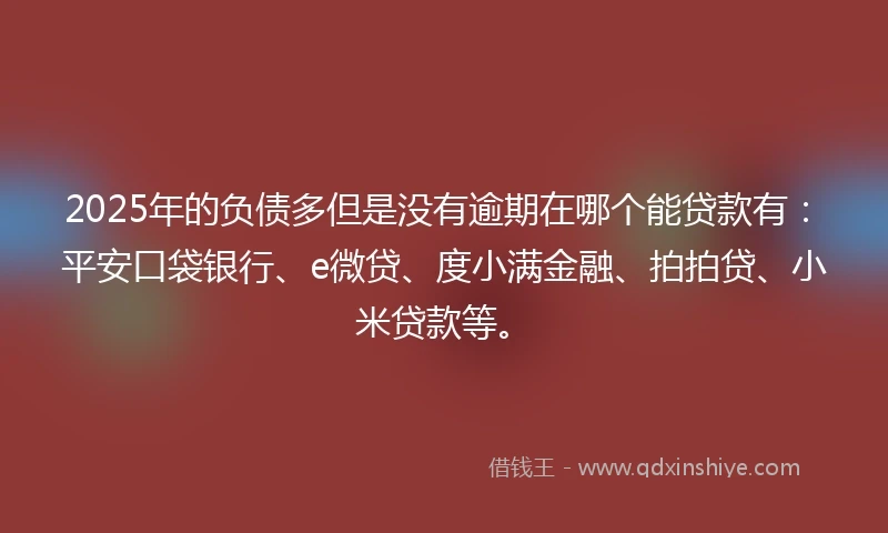 2025年的负债多但是没有逾期在哪个能贷款有：平安口袋银行、e微贷、度小满金融、拍拍贷、小米贷款等。