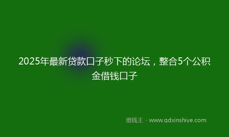 2025年最新贷款口子秒下的论坛，整合5个公积金借钱口子
