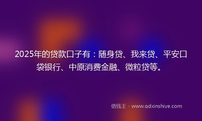 2025年的贷款口子有：随身贷、我来贷、平安口袋银行、中原消费金融、微粒贷等。