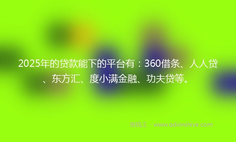 2025年的贷款能下的平台有：360借条、人人贷、东方汇、度小满金融、功夫贷等。