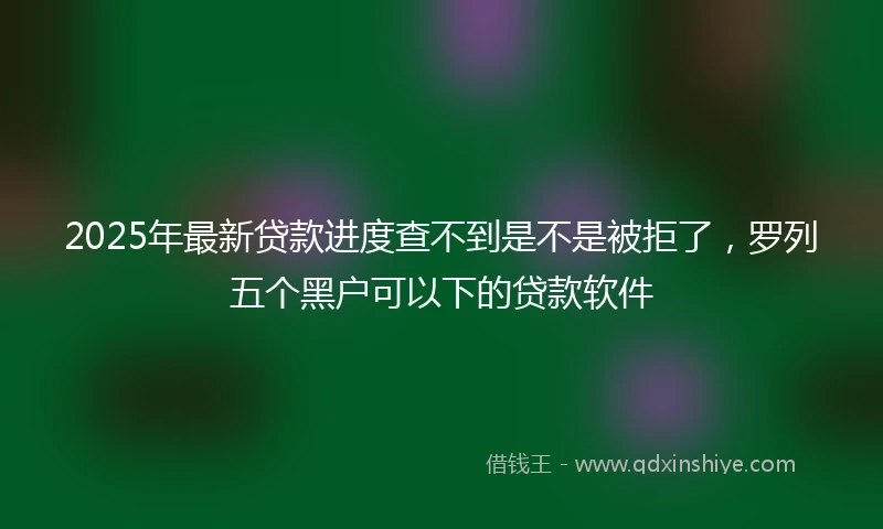 2025年最新贷款进度查不到是不是被拒了，罗列五个黑户可以下的贷款软件