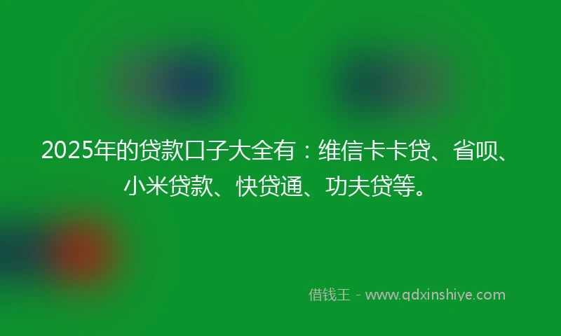 2025年的贷款口子大全有：维信卡卡贷、省呗、小米贷款、快贷通、功夫贷等。