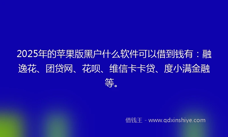 2025年的苹果版黑户什么软件可以借到钱有：融逸花、团贷网、花呗、维信卡卡贷、度小满金融等。