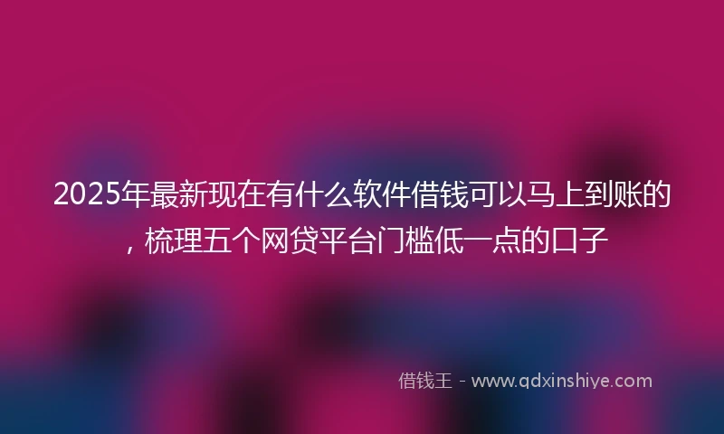 2025年最新现在有什么软件借钱可以马上到账的，梳理五个网贷平台门槛低一点的口子