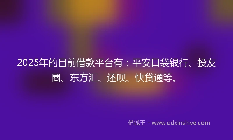 2025年的目前借款平台有：平安口袋银行、投友圈、东方汇、还呗、快贷通等。