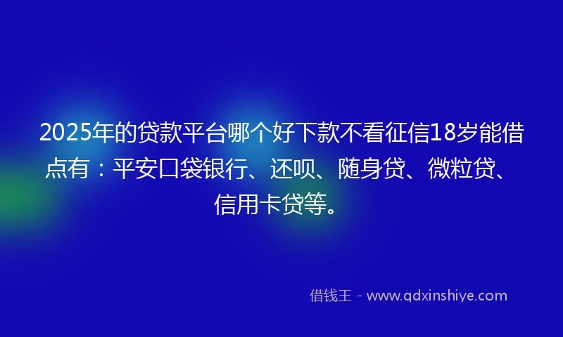 2025年的贷款平台哪个好下款不看征信18岁能借点有：平安口袋银行、还呗、随身贷、微粒贷、信用卡贷等。