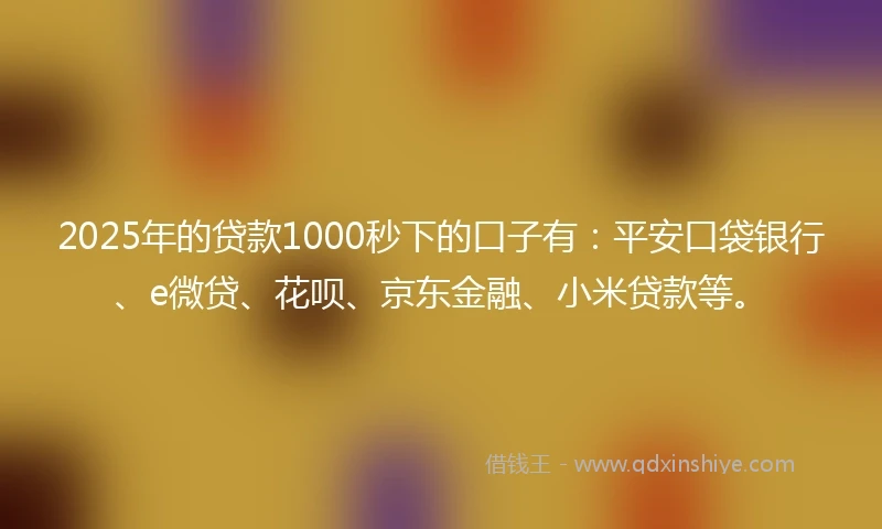 2025年的贷款1000秒下的口子有：平安口袋银行、e微贷、花呗、京东金融、小米贷款等。