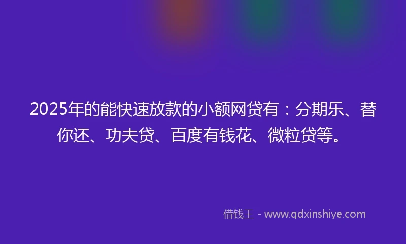 2025年的能快速放款的小额网贷有：分期乐、替你还、功夫贷、百度有钱花、微粒贷等。