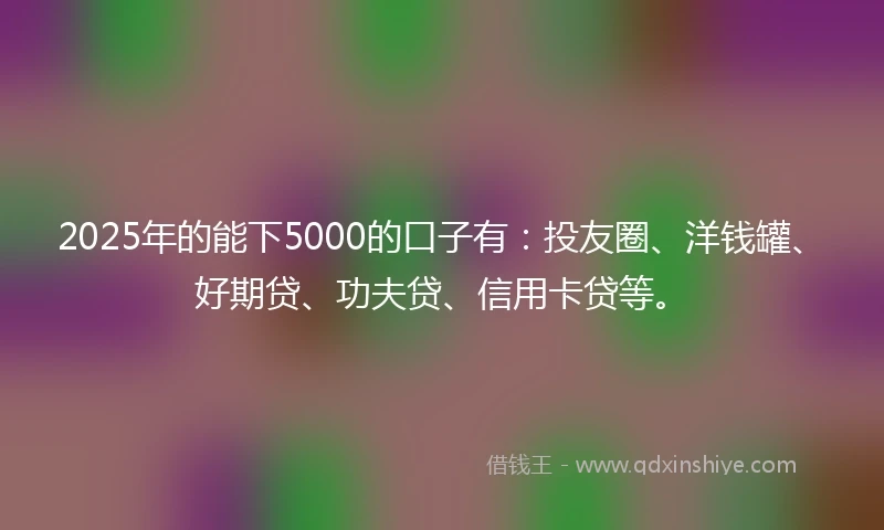 2025年的能下5000的口子有：投友圈、洋钱罐、好期贷、功夫贷、信用卡贷等。
