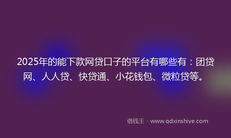 2025年的能下款网贷口子的平台有哪些有：团贷网、人人贷、快贷通、小花钱包、微粒贷等。