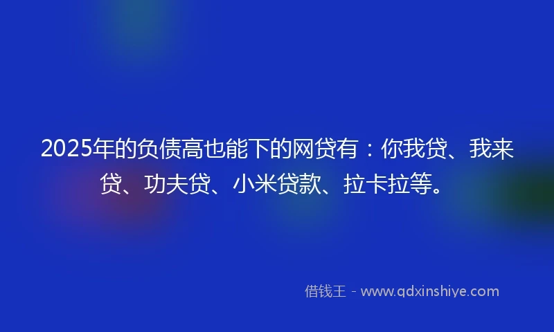 2025年的负债高也能下的网贷有：你我贷、我来贷、功夫贷、小米贷款、拉卡拉等。