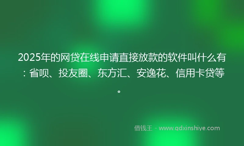 2025年的网贷在线申请直接放款的软件叫什么有：省呗、投友圈、东方汇、安逸花、信用卡贷等。