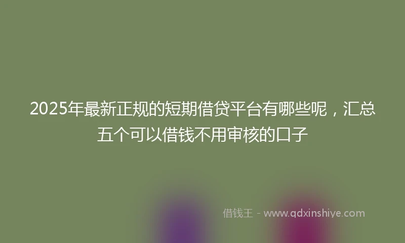 2025年最新正规的短期借贷平台有哪些呢，汇总五个可以借钱不用审核的口子