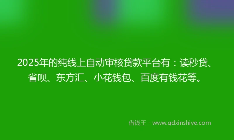 2025年的纯线上自动审核贷款平台有：读秒贷、省呗、东方汇、小花钱包、百度有钱花等。