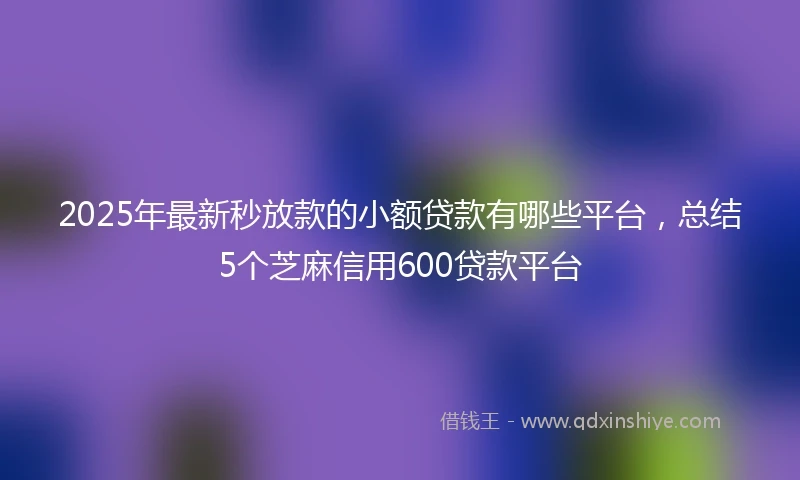 2025年最新秒放款的小额贷款有哪些平台，总结5个芝麻信用600贷款平台