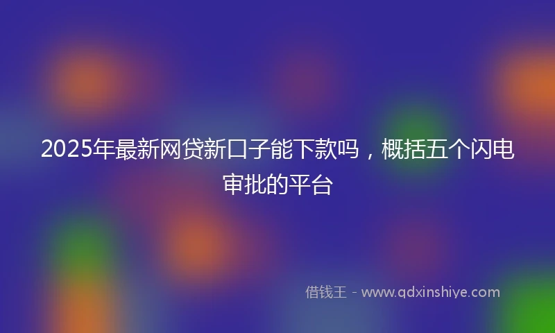 2025年最新网贷新口子能下款吗，概括五个闪电审批的平台