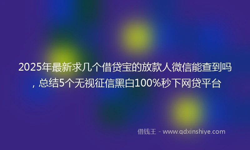 2025年最新求几个借贷宝的放款人微信能查到吗，总结5个无视征信黑白100%秒下网贷平台