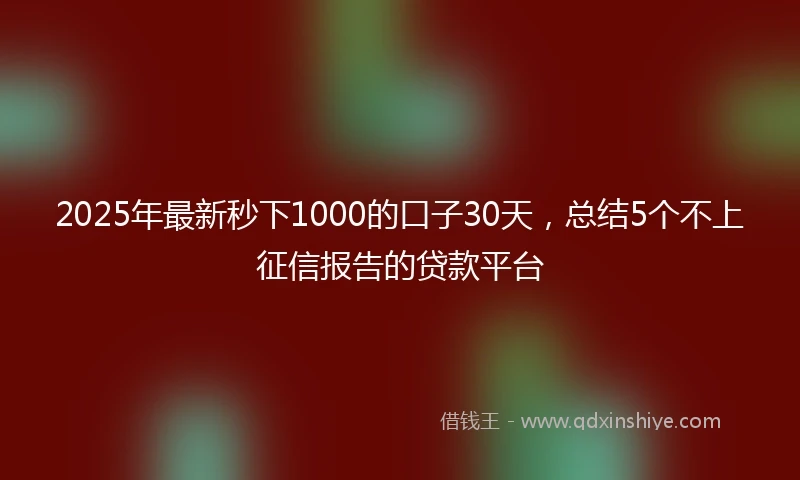 2025年最新秒下1000的口子30天，总结5个不上征信报告的贷款平台