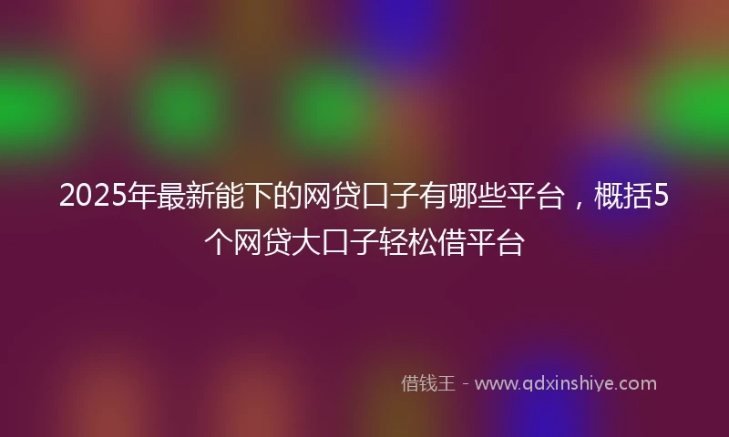 2025年最新能下的网贷口子有哪些平台，概括5个网贷大口子轻松借平台